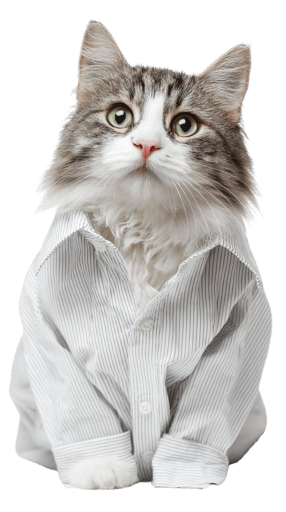 Cat wearing elegant outfit